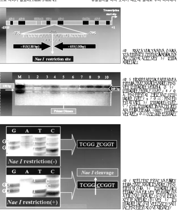Fig. 1. Schematic diagram which demonstrated endothelial nitric  ox-ide (eNOS) gene and Nae I  restri-ction site