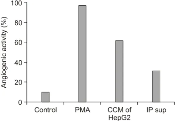 Fig.  2.  Effect  of  heparin  on  the  IGF-II  action.  Heparin  had  no  effect  on  IGF-II  action  in  angiogensis.