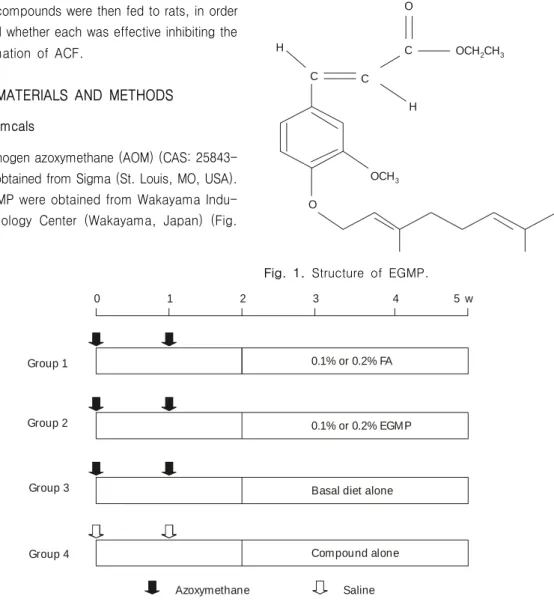 Fig. 2. Experimental protocol for rat colon carcinogenesis.