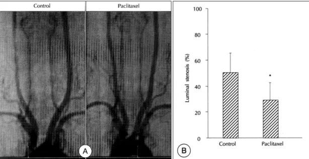 Fig. 2. Representative carotid angiographic finding performed 2 weeks after carotid artery injury of control and paclitaxel-treated group