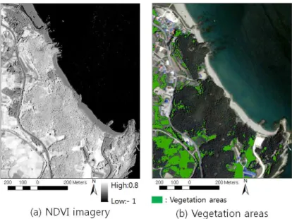 FIGURE 5. One section of DSM and DEM generated using  the  LiDAR  point  cloud