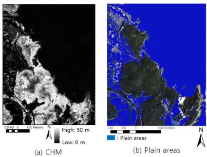 FIGURE  6.  CHM  and  plain  areas  extracted  from  the  CHM  imagery