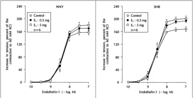 Fig. 5. Effect of 17β-estradiol replacement on the contraction to endothelin-1 in Wistar-Kyoto (WKY) and spon- spon-taneously hypertensive (SHR) rats