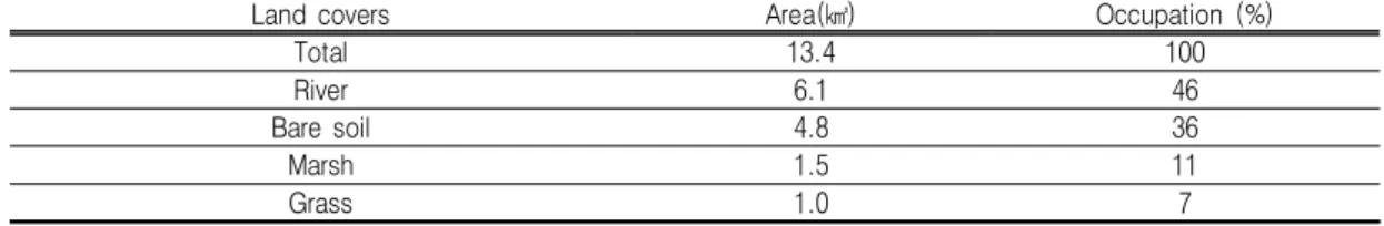 TABLE  2.  Area  of  the  classified  land  uses  in  the  identified  floodplain