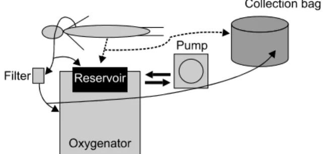 Fig. 1. Scheme of retrograde autoloug  priming circuit.