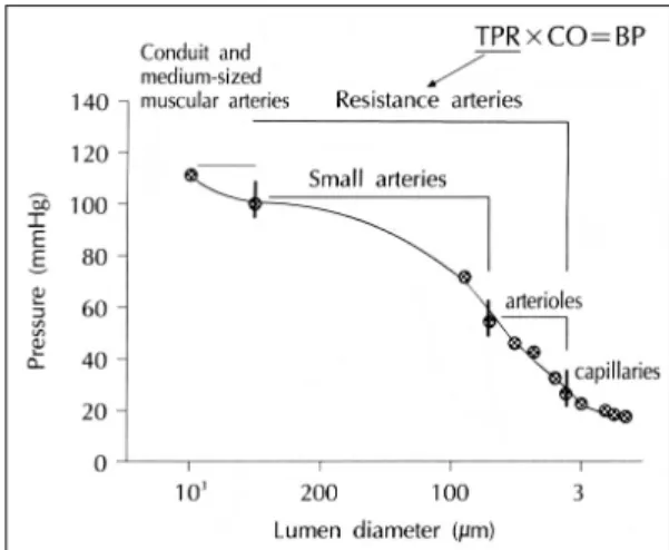 Table 1. Difference between large and small arterial changes in essential hypertension 