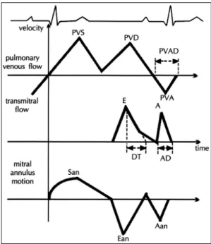 Table 2. Changes of M-mode echocardiographic va- va-riables obtained before and after hemodialysis in 20  patients 