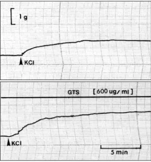 Fig. 3. The typical tracing showing the effect of total  Ginseng saponin (GTS)on high  potassium(KCL)-ind-uced contractile response in the rat aortic strip