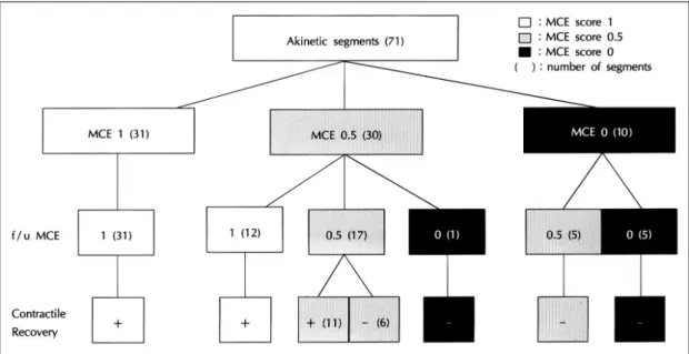 Fig. 3. Schematic diagram showing temporal changes of myocardial perfusion in relation to contractile recovery.