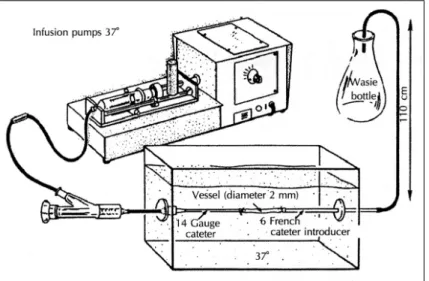 Fig. 2. Perfusion system used for ra- ra-bbit carotid artery eversion model. 