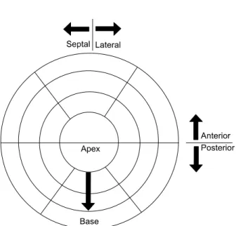Fig. 2. Diagram of 20 segments model used in SPECT an- an-alysis.