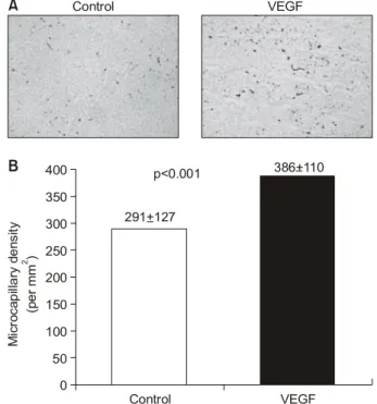 Fig. 8. Micro-capillary density.  (A) Larger number of micro-  vessels stained by alkaline phosphatase were observed in  VEGF than in Control (×200)