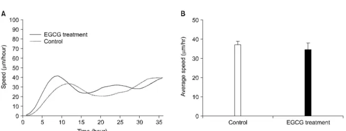 Fig. 6. Histologic examination of the vein grafts. (A) Control group, (B) EGCG group. Arrows indicate intimal borders (van Gieson elastin stain, ×100).