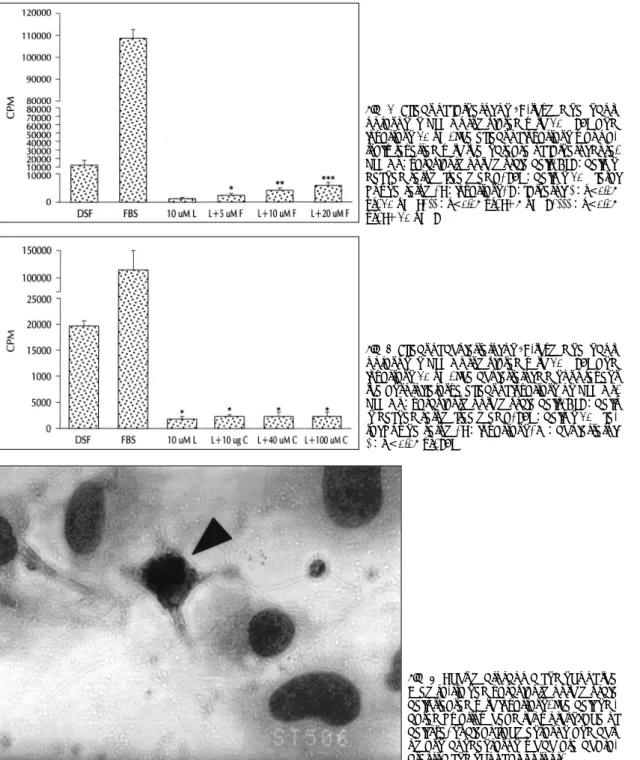 Fig. 8. Light microscopic findings of the  Giemsa-stained vascular smooth muscle  cells treated with lovastatin