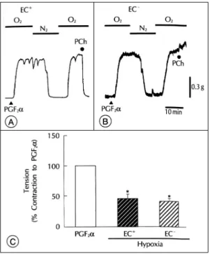 Fig. 2. Effect of hypoxia on the contractile responses in ra- ra-bbit coronary artery