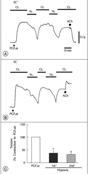 Fig. 5. Effect of normoxic or hyperoxic control Krebs-Hens- Krebs-Hens-eleit solution on subsequent response to hypoxia in  pulm-onary arteries with endothelium