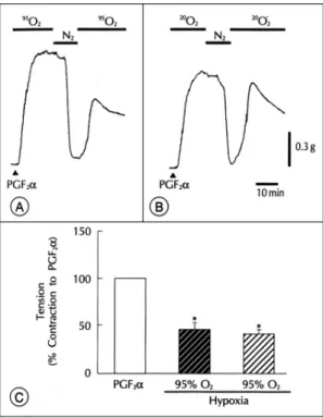 Fig. 6. Effect of hyperoxic or normoxic control Krebs-Hens- Krebs-Hens-eleit solution on subsequent response to hypoxia in coronary artery without endothelium