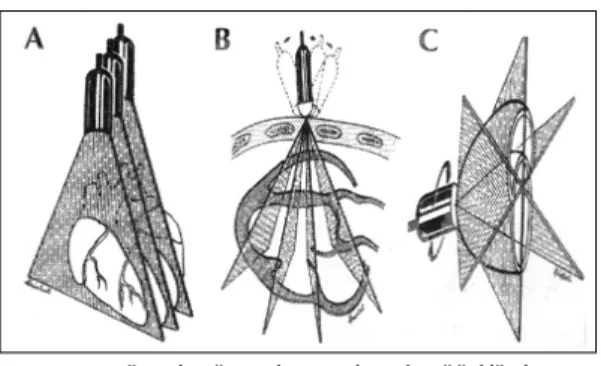 Fig. 3. Diagram showing the methods for restricted im- im-age acquisition format. 