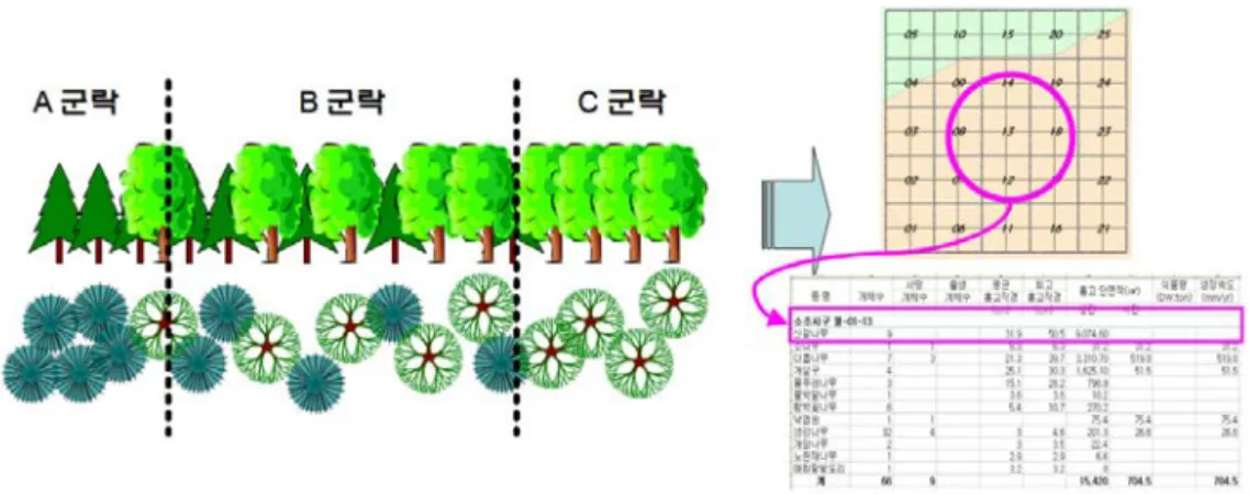 FIGURE  3.  Method  of  mapping  and  assessment  for  the  biotope  type  and  function