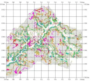 Figure  6.    Deforestation  prediction  map  based  on  Bayes  probability