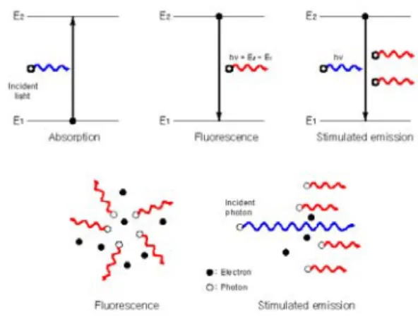 FIGURE  3.  Principle  of  distance  survey  using  transmitted  and  received  signals  in  the  TOF  method