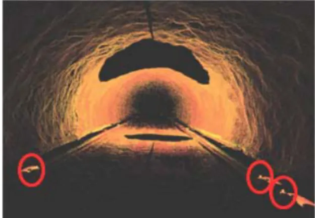 FIGURE  11.  Illustration  of  raw  point  clouds  data  obtained  from  a  sub-sections
