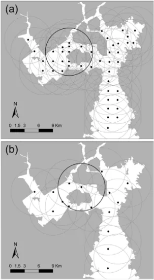 FIGURE  2.  Neighborhood  features  of  defined  5km  distance  from  target  features