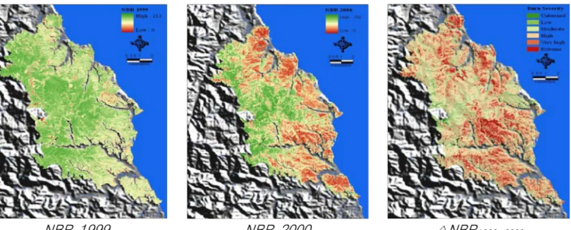 FIGURE  6.  Change  of  burn  severity  by  △NBR 1999-2000   in  Samcheok  forest  fire  area