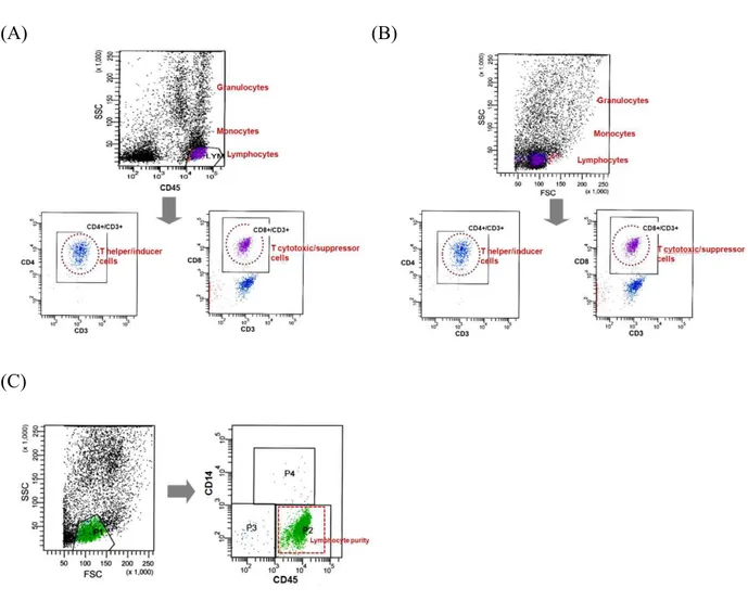 Fig. 1. Three different methods of lymphocyte gating. (A) CD45/side light scatter (SSC) gating, (B) forward light scatter (FSC)/SSC gating, (C) FSC/SSC lymphocyte gating followed by purity correction (lymphocyte purity: