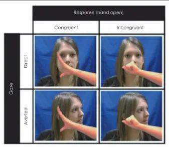 Fig. 4. The experimental design of the control of mimicry by eye  gaze (by Wang et al