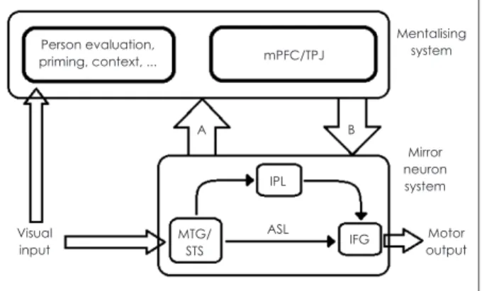 Fig. 5. Three brain models for information processing during  mimicry (by Wang and Hamilton 54) )
