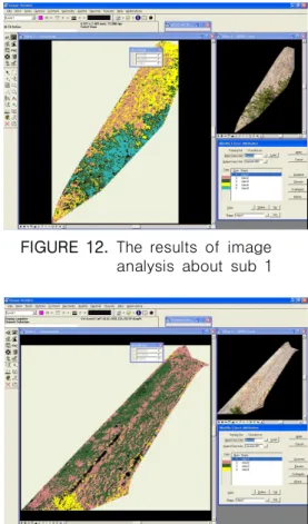 FIGURE  12.  The  results  of  image  analysis  about  sub  1