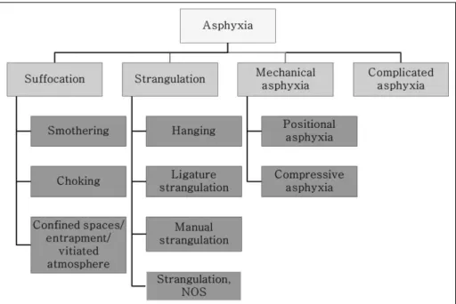 Fig. 1. The classification of asphyxia used in this study is shown. 