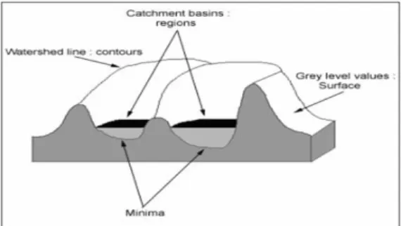 FIGURE  5.  Watershed  transform  topographical  analysis 수행하기  위해서  네  단계를  실행했는데  첫째, 영상의  잡음을  제거하기  위하여  표준편차에 대한  가우시안  필터로  스무딩  한  다음  둘째, 식(2)와  같이  지역적인  기울기와  식(3)과  같이 모서리  방향을  이용했다