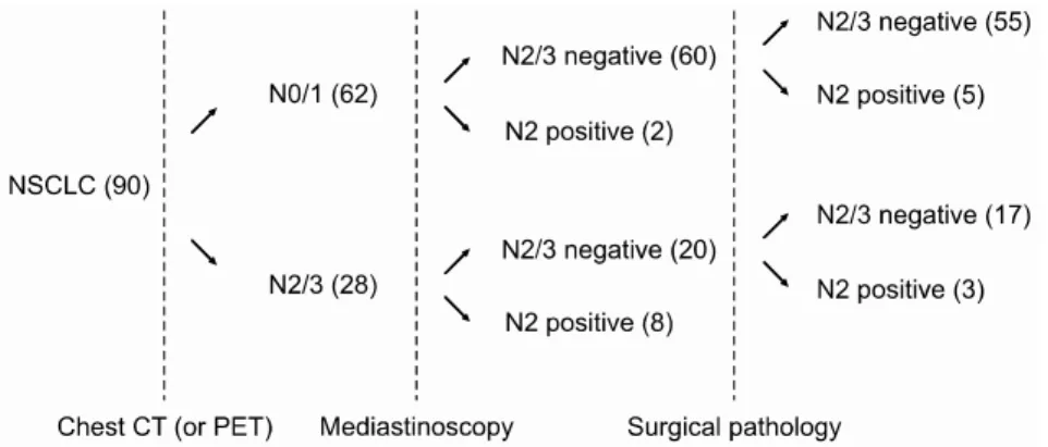 Fig. 1. Flow chart of results. NSCLC=Non-  small cell lung cancer.