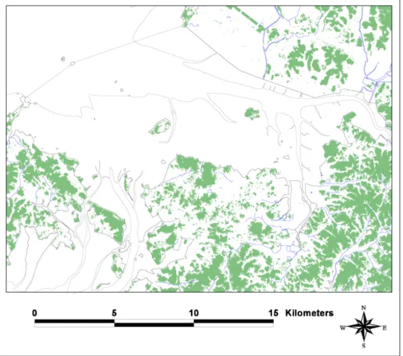FIGURE  1.  Study  site