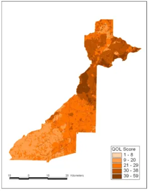 Figure  3  shows  the  overall  quality  of  life  score  map  generated  by  the  pixel-based  approach