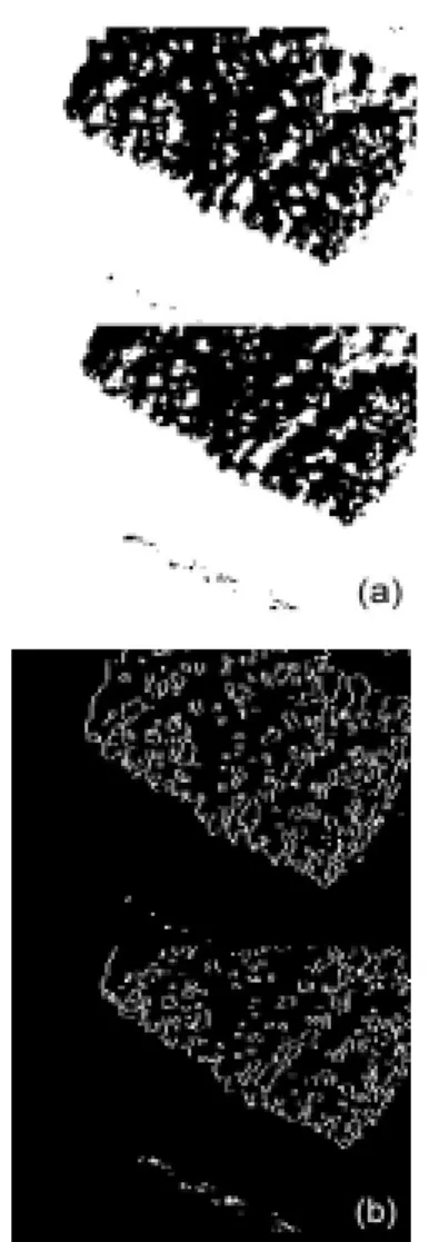 Figure  4.  Mosaic  of  images  by  unsupervised  classification  method  (a)  is  two  images  before  applied  the  method  and  (b)  is  after  the  method