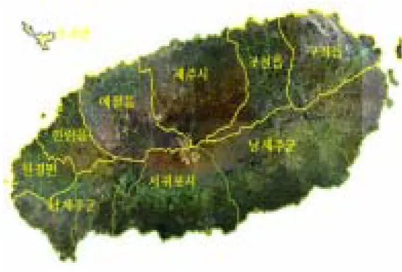 FIGURE  1  shows  the  study  area  in  Jeju  Island,  Korea.  In  order  to  develop  the  entire  detailed  survey,  the  interpretation  of  high-resolution  satellite  images  and  classification 