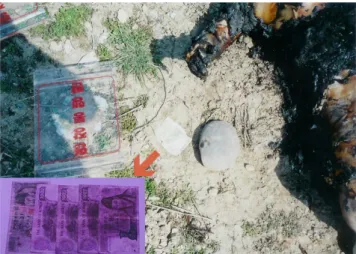Fig. 7. Several pieces of banknote weighed down by a stone (inset: 