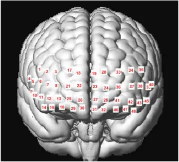Fig. 2. Schematic of functional near-infrared spectroscopy probes  and optode locations registered to the Montreal Neurological  Institute brain template across prefrontal cortex.