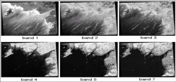 FIGURE  8.  The  spectral  characteristic  of  each  band  in  classⅠ  and  classⅡ   