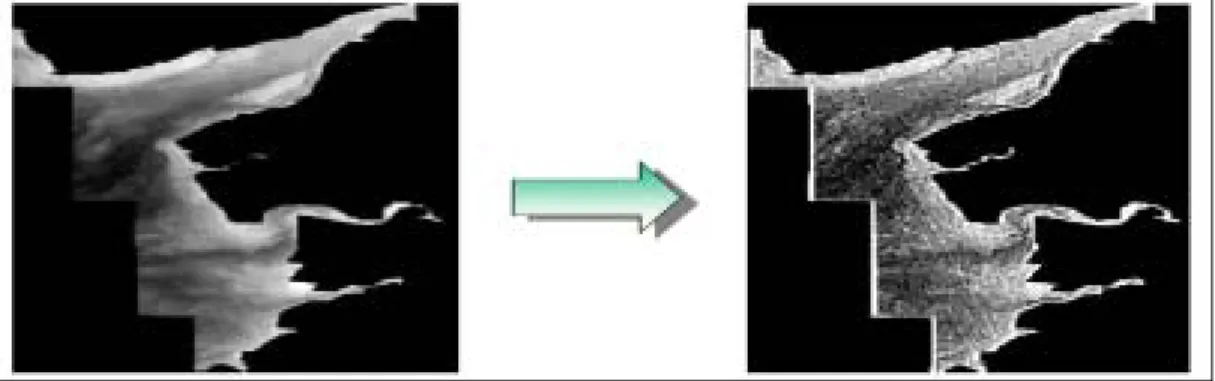 FIGURE  9.  KOMPSAT  EOC  image  conversion  using  high  frequency  pass  filtering  for  tidal                flat  extraction(Seo  han  bay,  North  Korea,  2001.9.18) 