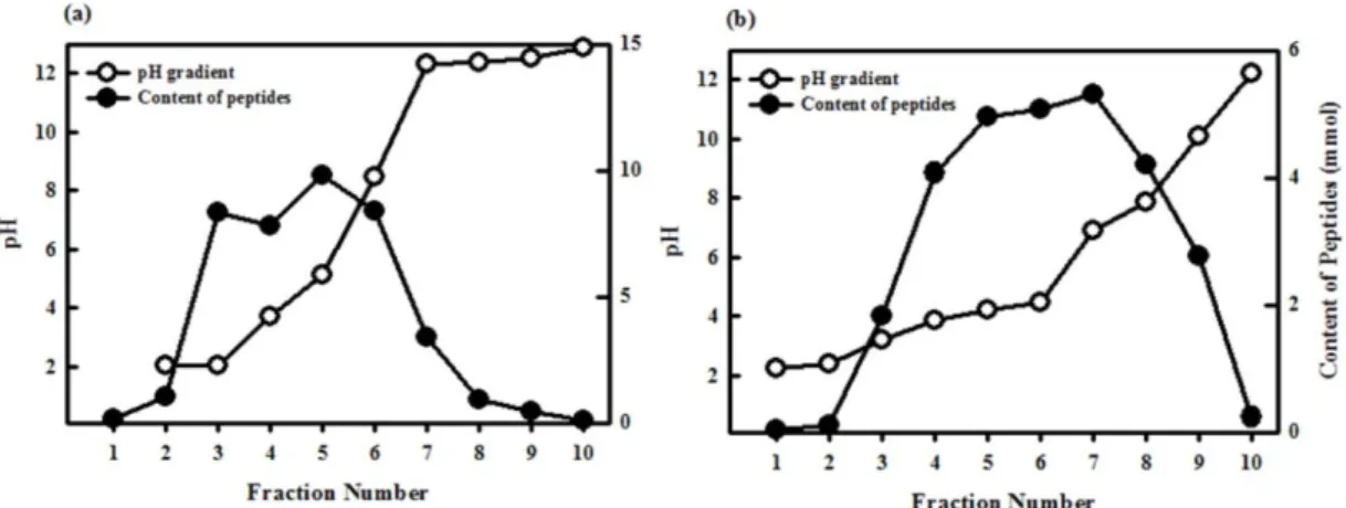 Fig. 1. Contents of peptide and pH gradient of autofocusing of RPs (a) and EWPs (b).