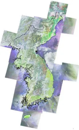 FIGURE  5.  Mosaic  image  of  LANDSAT  ETM+ 