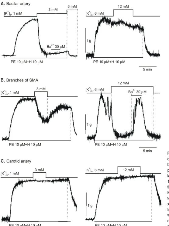 Fig. 1. Effects of extracellular K + on the contractiliies of various  blood vessels. A, Note that the  precontracted basilar artery  re-laxed on increasing [K + ] o  from  1 mM to 3 mM and the  relaxa-tion was not blocked by Ba 2+ 