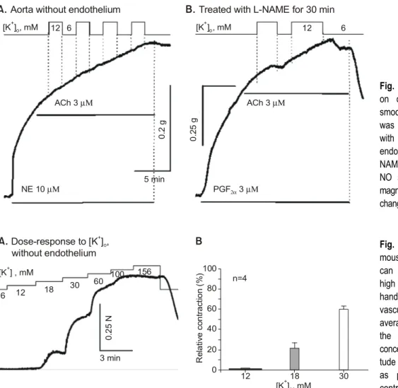 Fig. 2. Effect of extracellular K + on contractility of mouse aortic  smooth muscle. A: endothelium  was removed by gentle rubbing  with cotton ball