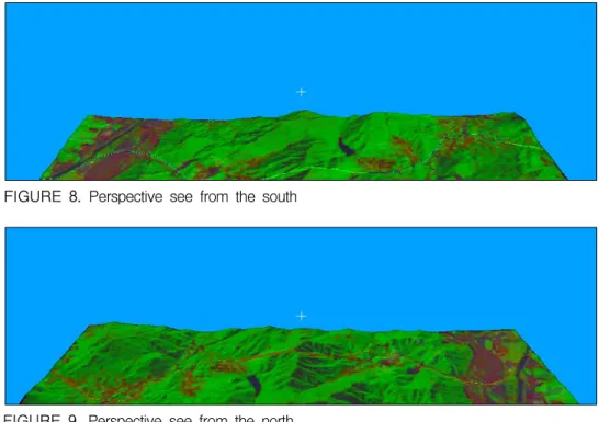 FIGURE  9.  Perspective  see  from  the  north
