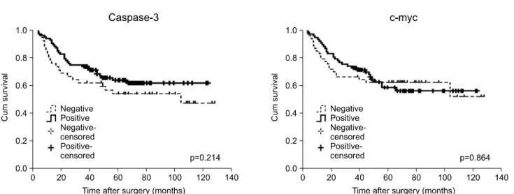 Fig. 2. Survival of total 130 patients with non-small cell lung cancer according to the expression of caspase-3 and c-myc (p=NS)  (Kaplan-Meier method)