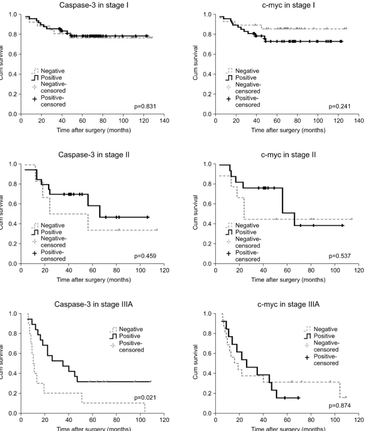 Fig. 3. According to stages, survival of patients associated with caspase-3 and c-myc expression